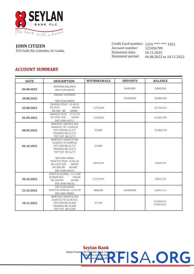Blank Sri Lanka Seylan bank statement word real example